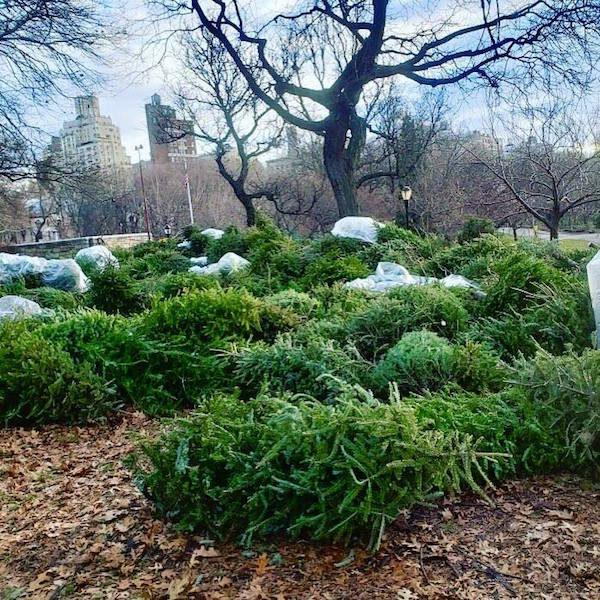 Mulchfest Riverside Park NYC