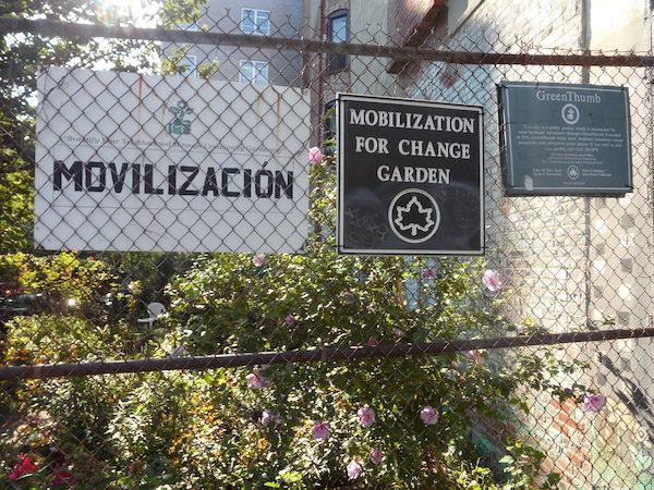 Mobilization For Change