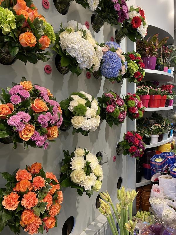 Posies
