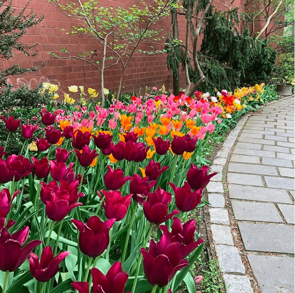 West Side Community Garden UWS