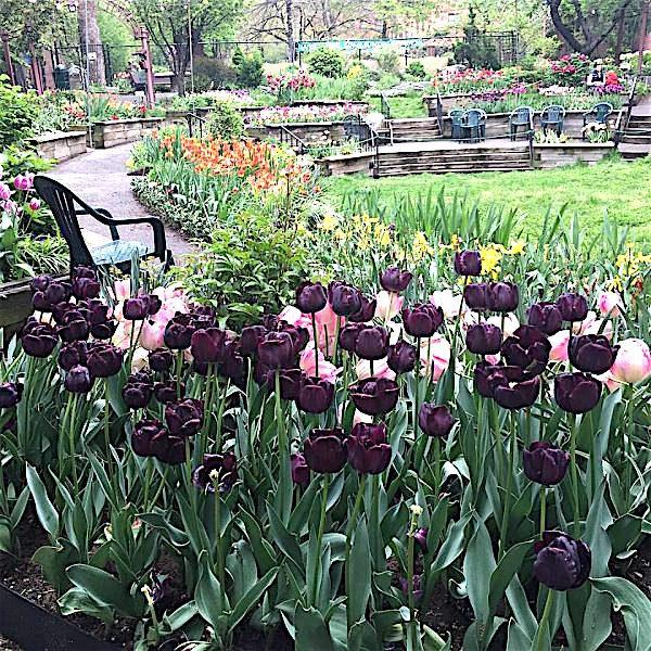 West Side Community Garden