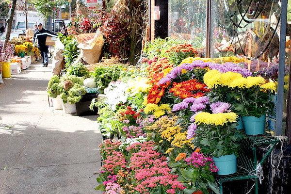 Chelsea Flower District