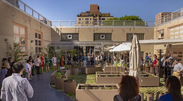 PS84 Roof Garden Opening