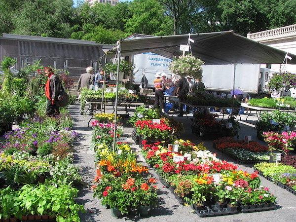 Union Square Greenmarket
