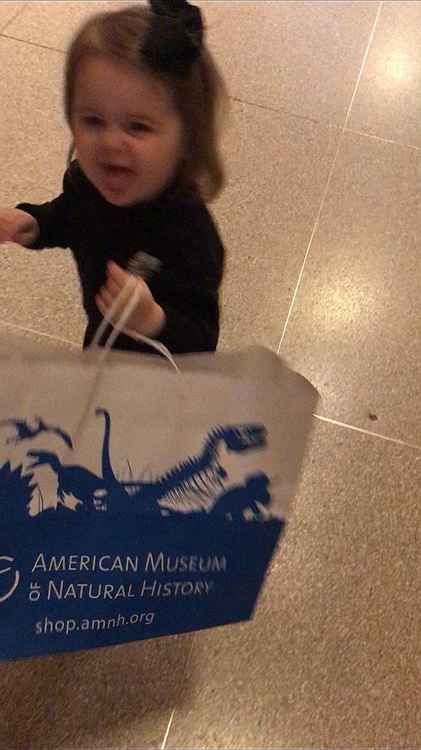 AMNH Dino Store
