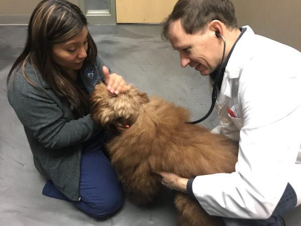 Hudson Animal Hospital
