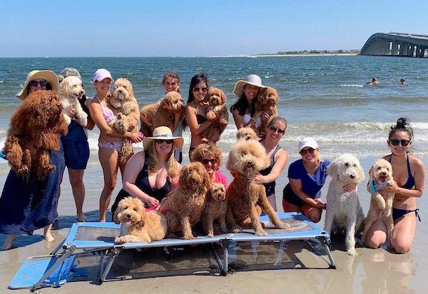 nj dog beach