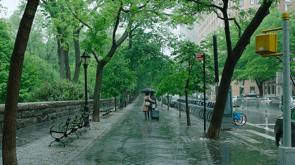 Riverside Bench Film