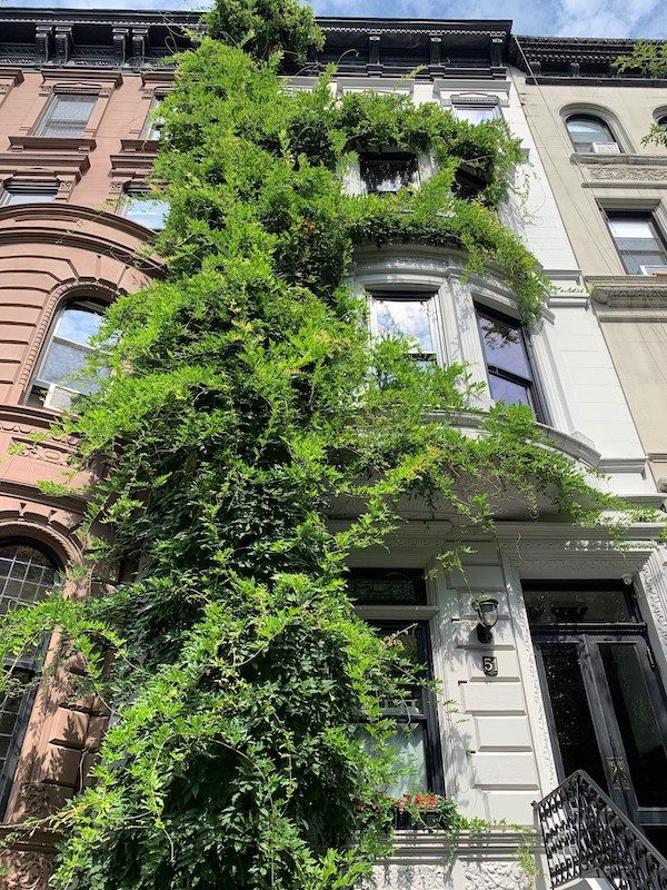 51 West 74th Street