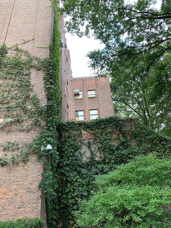 AMNH Ivy Building
