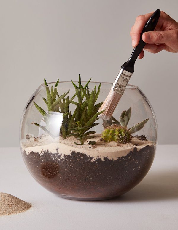 Terrarium Workshop