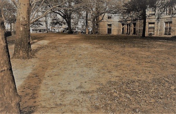 theodore roosevelt park