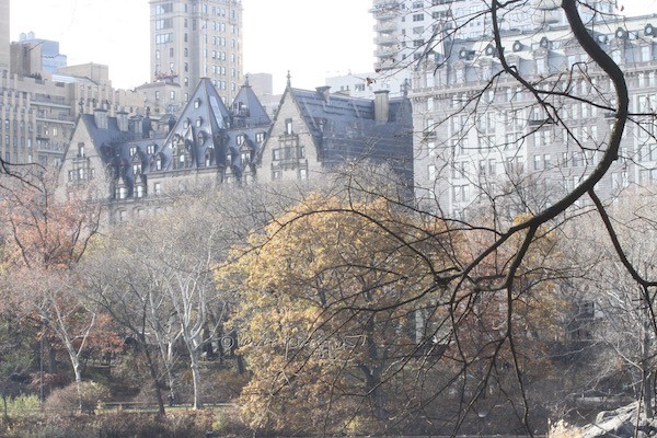 The Dakota From Central Park