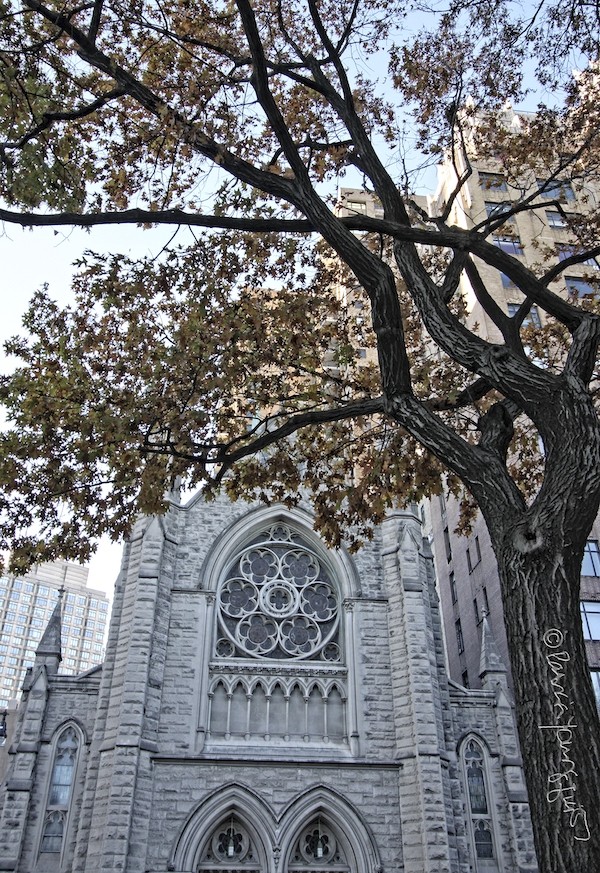 The Evangelical Lutheran Church of the Holy Trinity