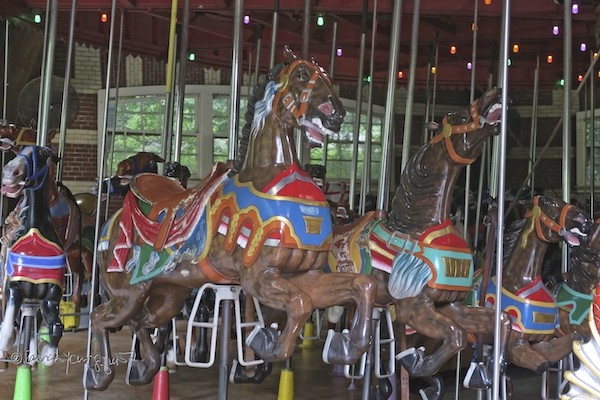 Carousel Central Park