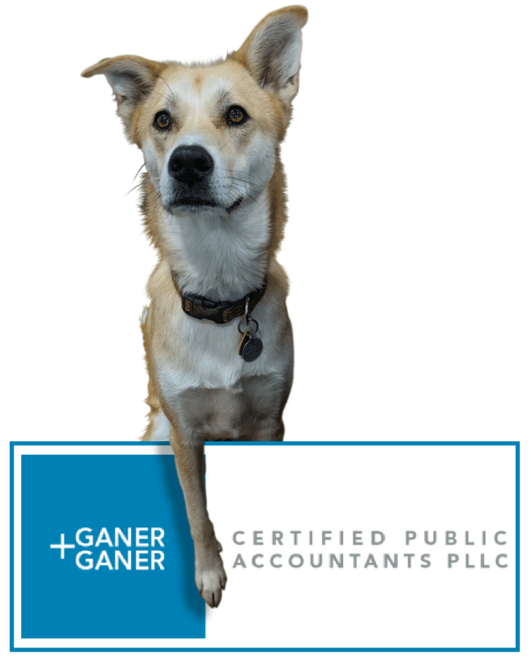 Ganer + Ganer