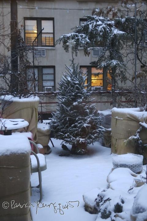 christmas tree upper west side