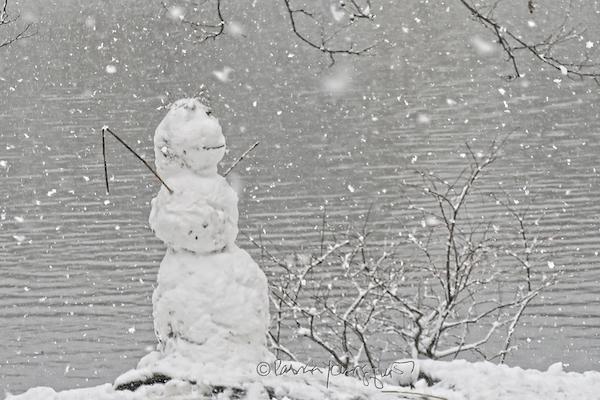 snow man in central park