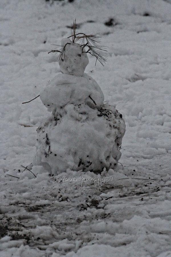 central park snowman