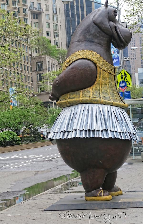 Hippo Ballerina