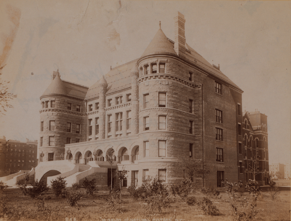AMNH 1869