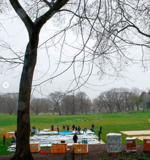 emergency hospital Central Park NYC