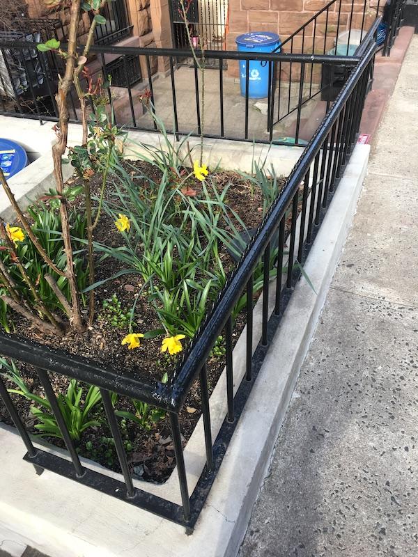 flower beds