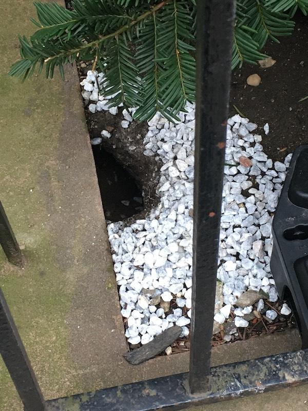 rat condo Upper West Side