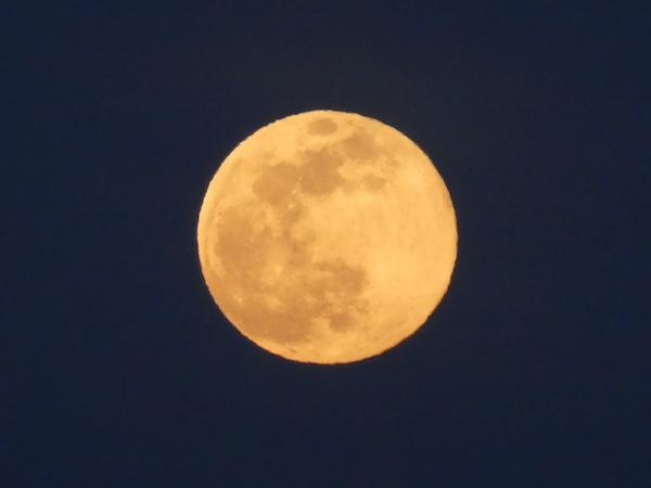 super pink moon NYC