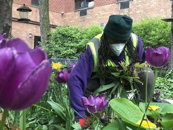 89th Street Garden