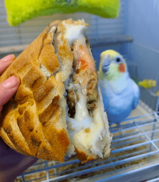 Marinara Pizza eggplant roll