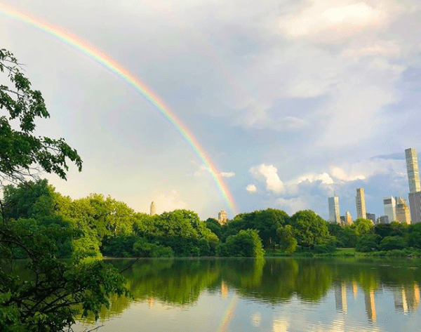 Central Park rainbow