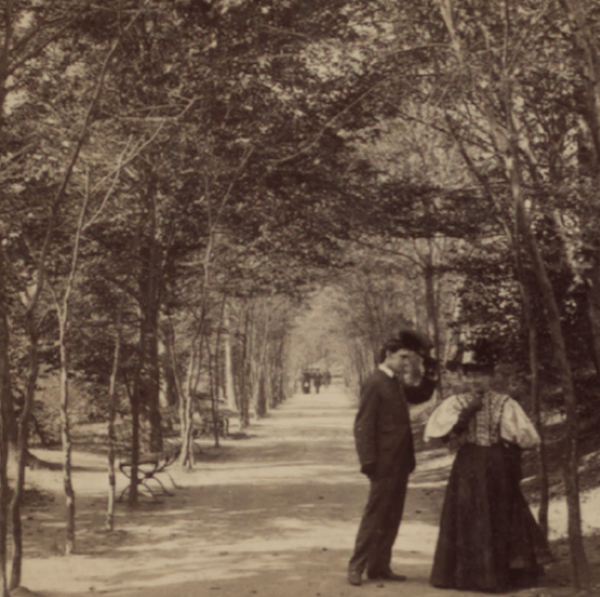 Lovers Lane Central Park