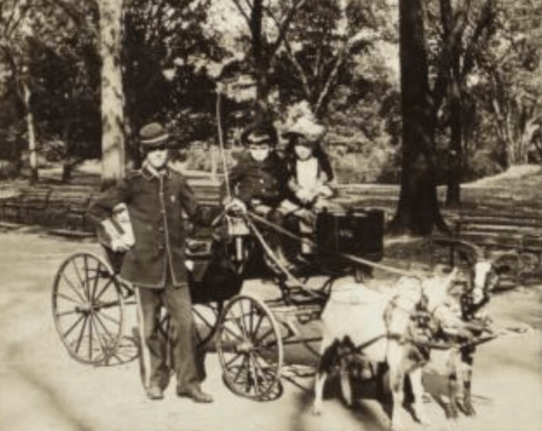 children riding goat carriage