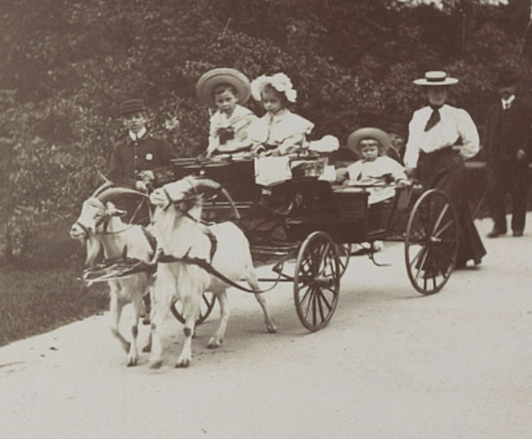 goat carriages Central Park Mall