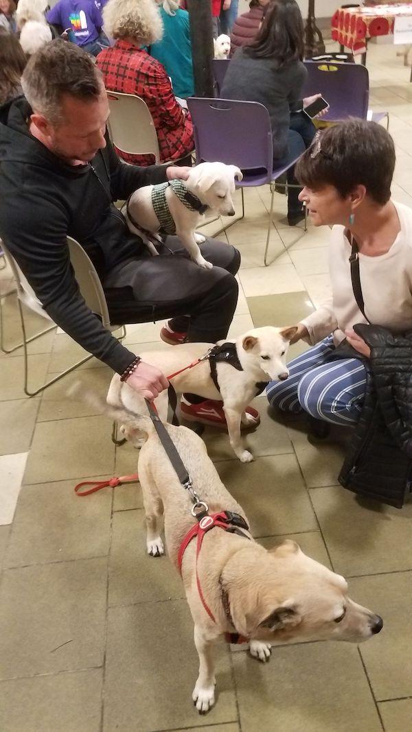 Three dog night