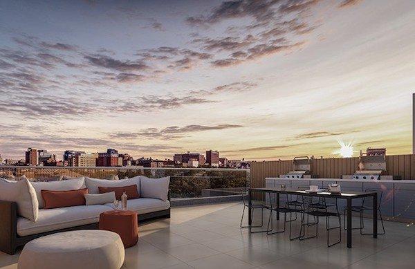 harlem condo roof deck