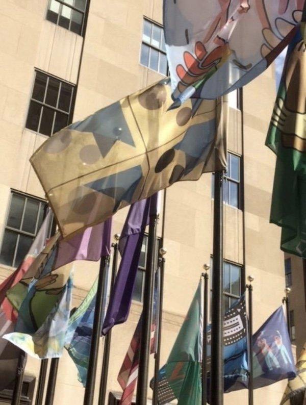 flag display met museum