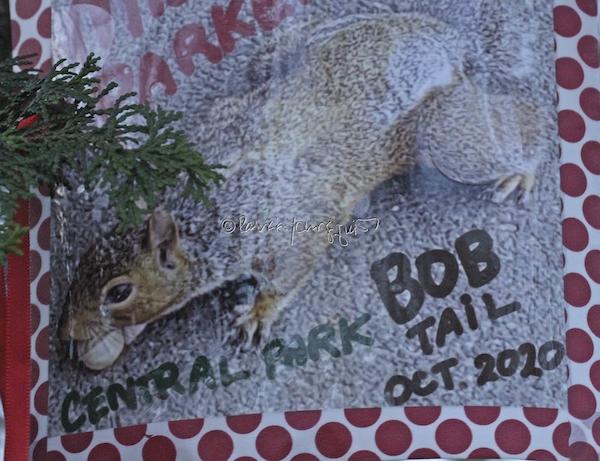 central park bob tail