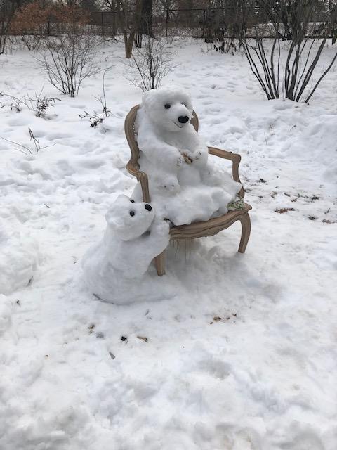 central park polar bears
