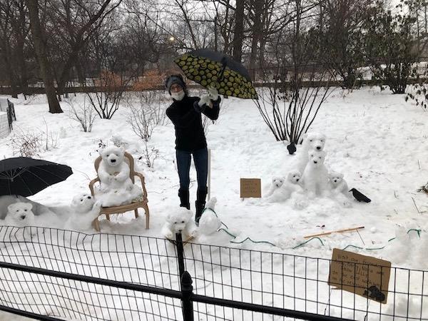 polar bears in central park