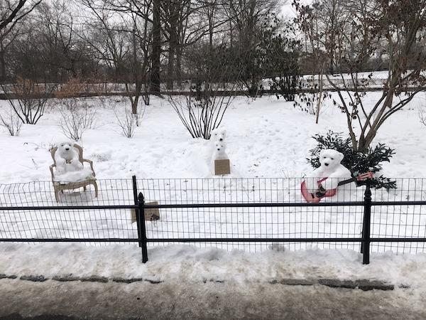 snow polar bears central park