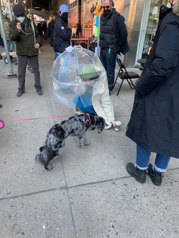 Rachel Brosnahan UWS Sighting