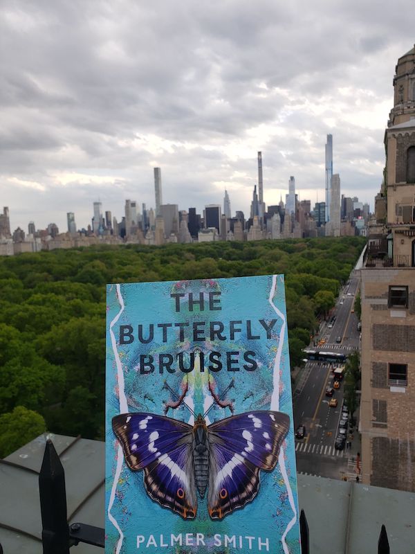 Butterfly Bruises Cover