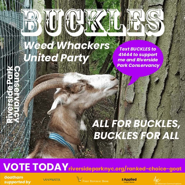 Buckles campaign poster