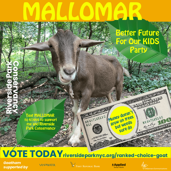 Mallomar campaign poster