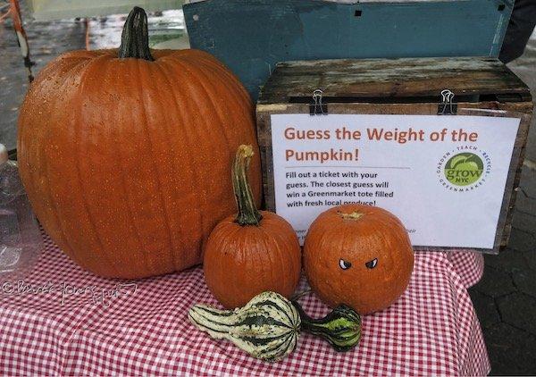 Freddie the Pumpkin