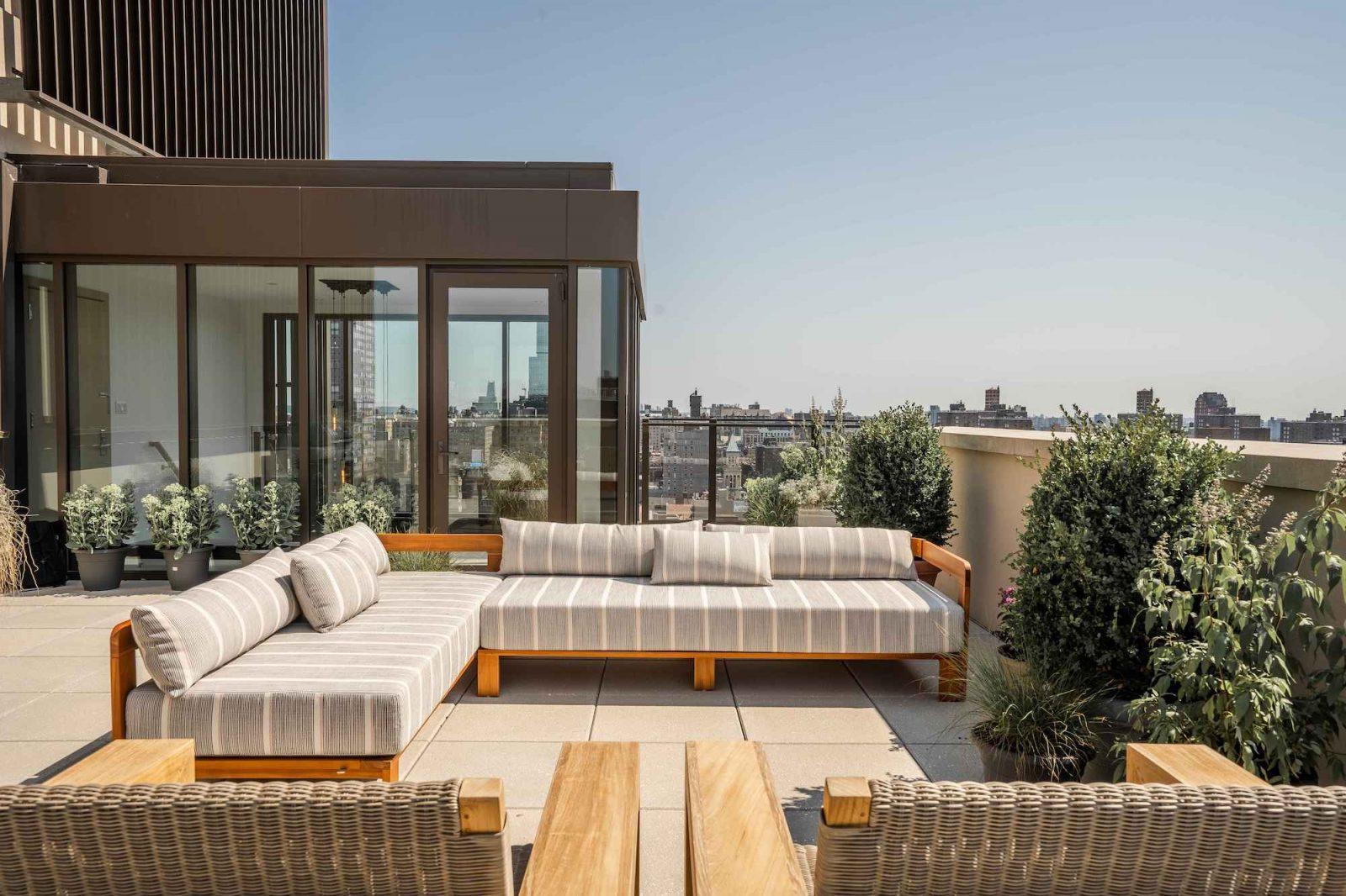 Dahlia terrace
