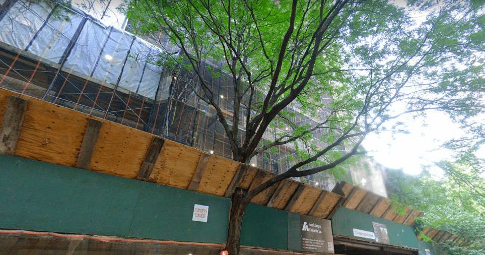 parents petition ps 333