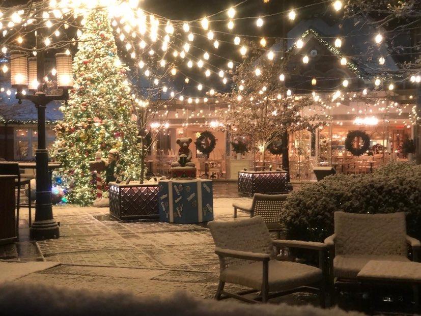 snowfall tavern on the green